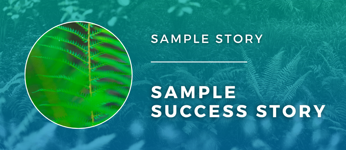 PLACEHOLDER - SAMPLE SUCCESS STORY (1) placeholder image for a sample success story